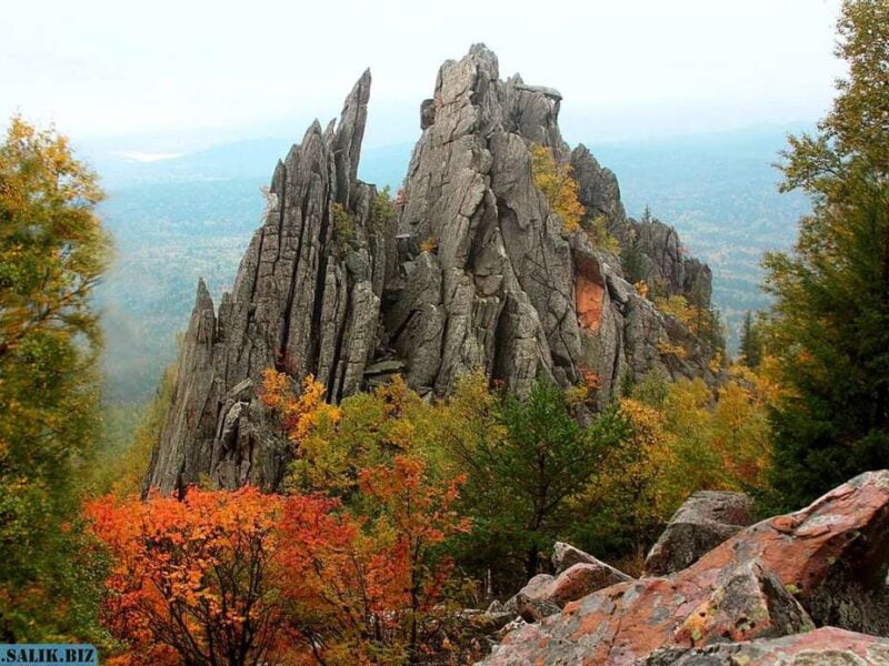 01cc94170b611a3f9fab11461db19bd4 1