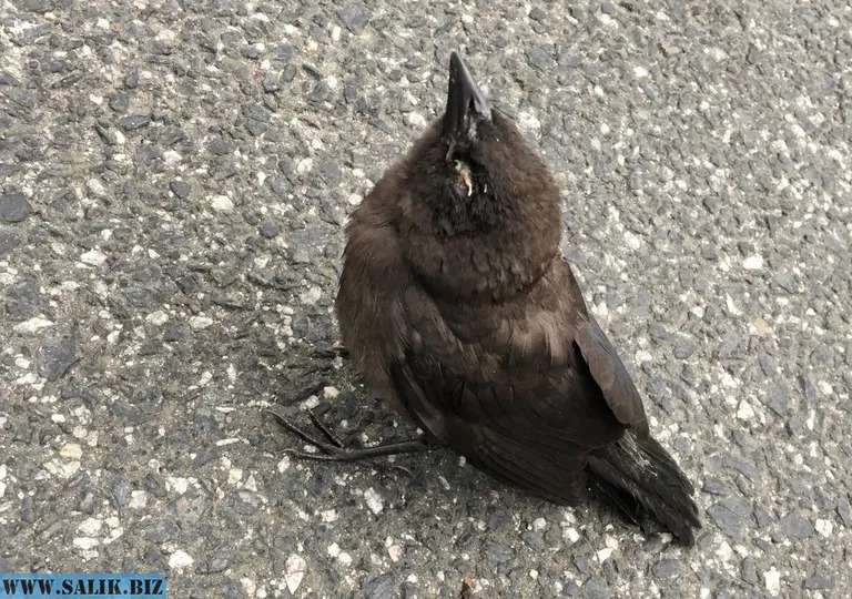 027c7a5db505779fb7dc1a9afe2ff384 1