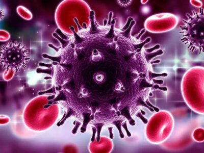 0477941df9e2f698eb5e46225bcf443e 1