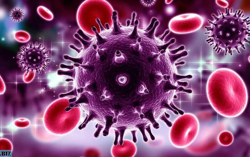 0477941df9e2f698eb5e46225bcf443e 1