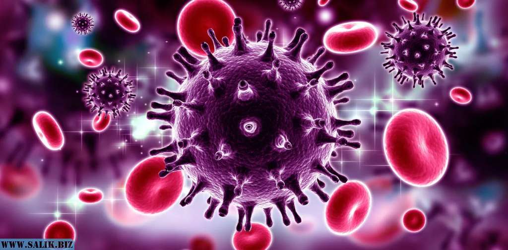 0477941df9e2f698eb5e46225bcf443e 1