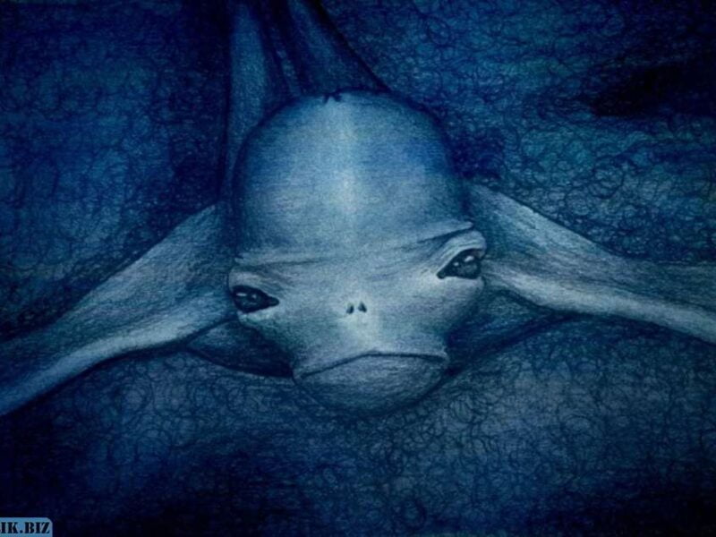 057125dca74cf421c1552108099af3a2 1