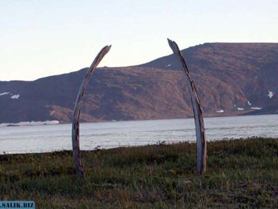 09965cfc7e4a46465ee4f31fb9cff84b 1