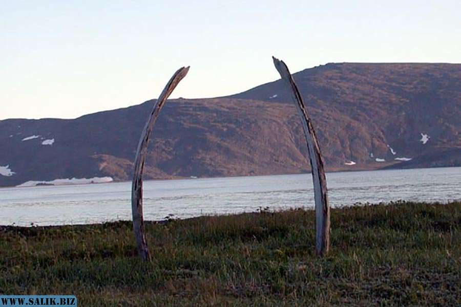 Тайна Аллеи китовых костей: кто и зачем ее построил 18 09965cfc7e4a46465ee4f31fb9cff84b 1