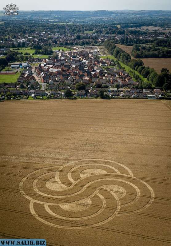         Рисунок на поле в графстве Уилтшир, Великобритания				            