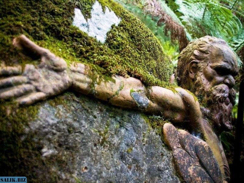 115e07b334a8aa3dc4114d093e24e795 1