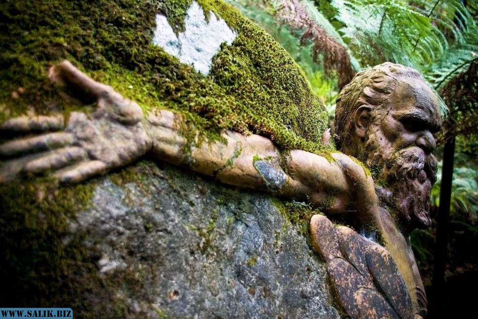 115e07b334a8aa3dc4114d093e24e795 1