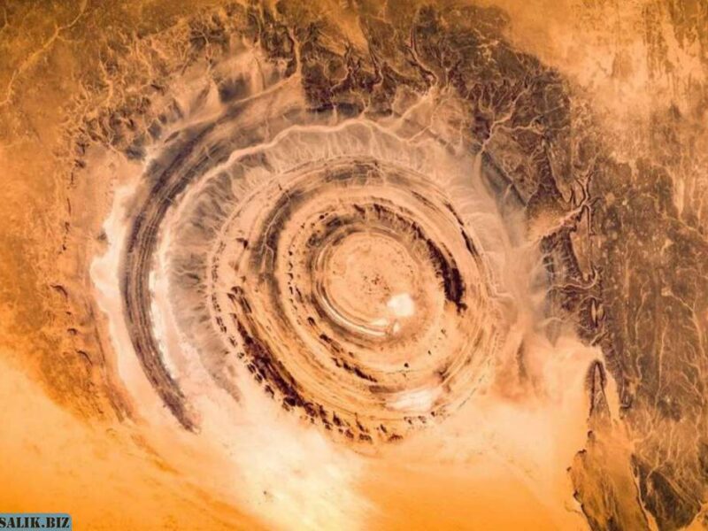 11844472a6898082c7287d07446b189a 1