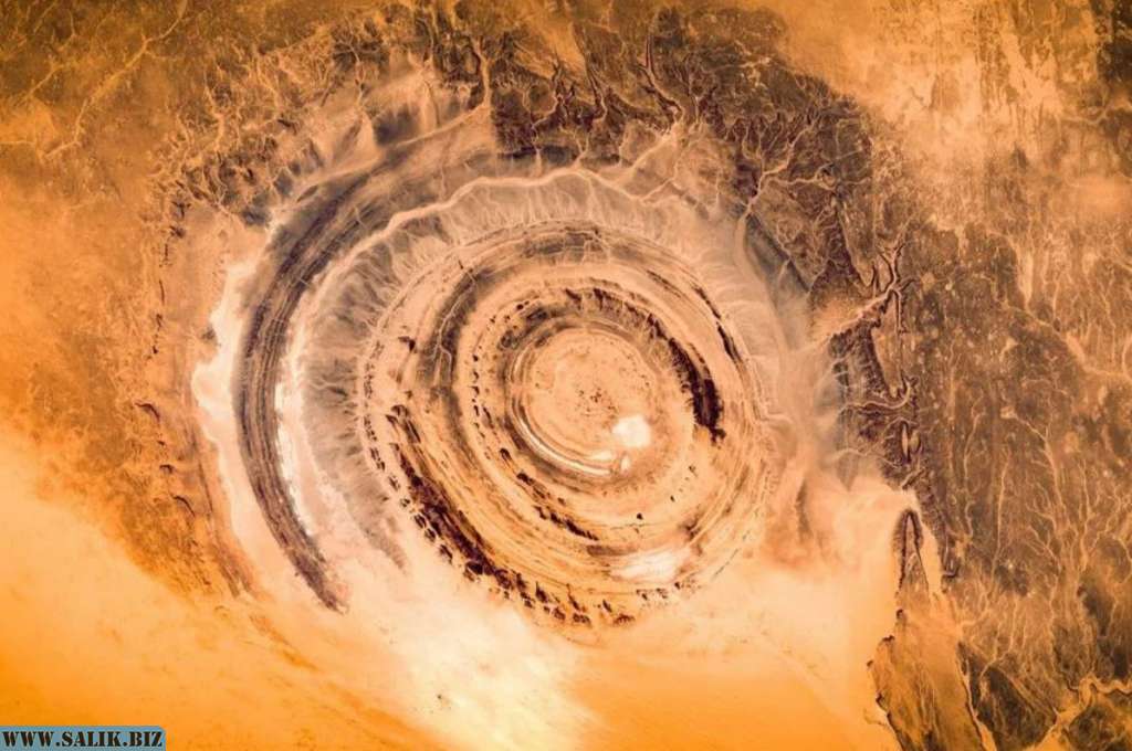 11844472a6898082c7287d07446b189a 1