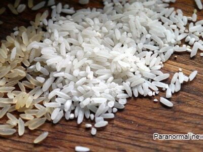 Женщина нашла пластиковые гранулы в рисе, что возродило старую теорию заговора 20 19342922