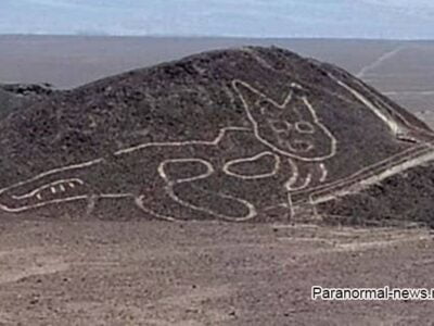В Перу в районе Линий Наска найдено 2000-летнее изображение кошки 22 25875859