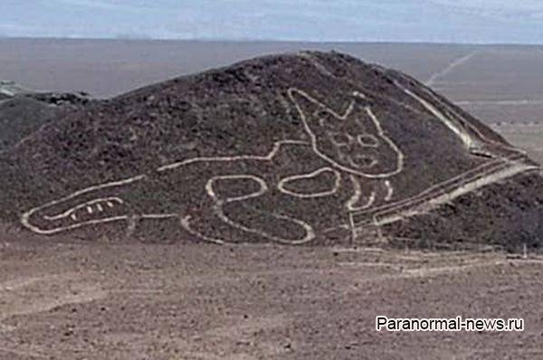 В Перу в районе Линий Наска найдено 2000-летнее изображение кошки 18 25875859