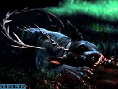 278de2a5691e4be921876cab05d19866 1