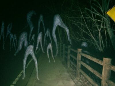 «Ходок из Кармела» - Белый монстр с очень длинными ногами 22 28199434