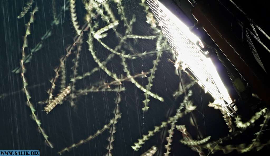 2c63d7749f57ca8a23912adbcb296c30 1