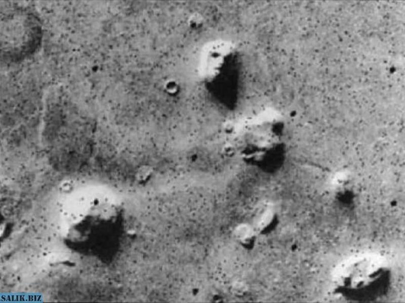 2d2727c2f3c139873ff80abbcf6c914b 1