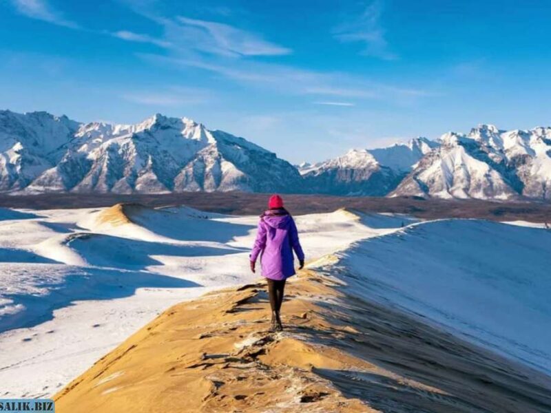 3565d06997fb716594c3ec4a444652f6 1