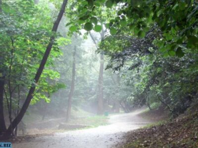 36bbe80638f1b695d5504fe84ed302f8 1