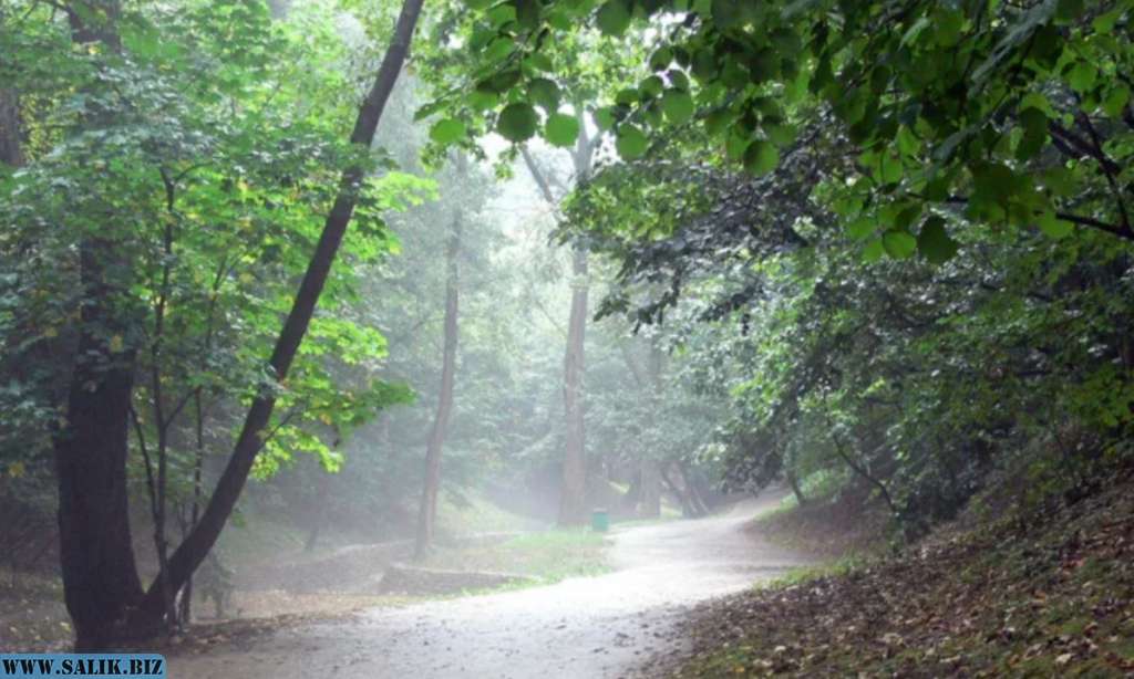 36bbe80638f1b695d5504fe84ed302f8 1