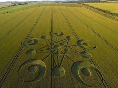 Учёные изучили круги на полях в попытке определить их источник 25 377dcb2987e0bdcf695adc6b3572e8ce 1