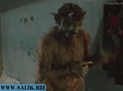 431505f9a95cb62dffdd67a389cb56e7 1