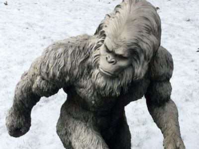 Американский ветеран Афганистана стал охотником на йети 21 44815035