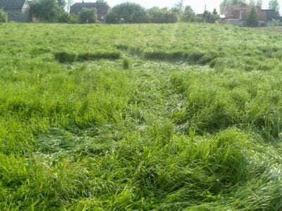 Круги на траве в польском селе Рожново создали 23 49852558