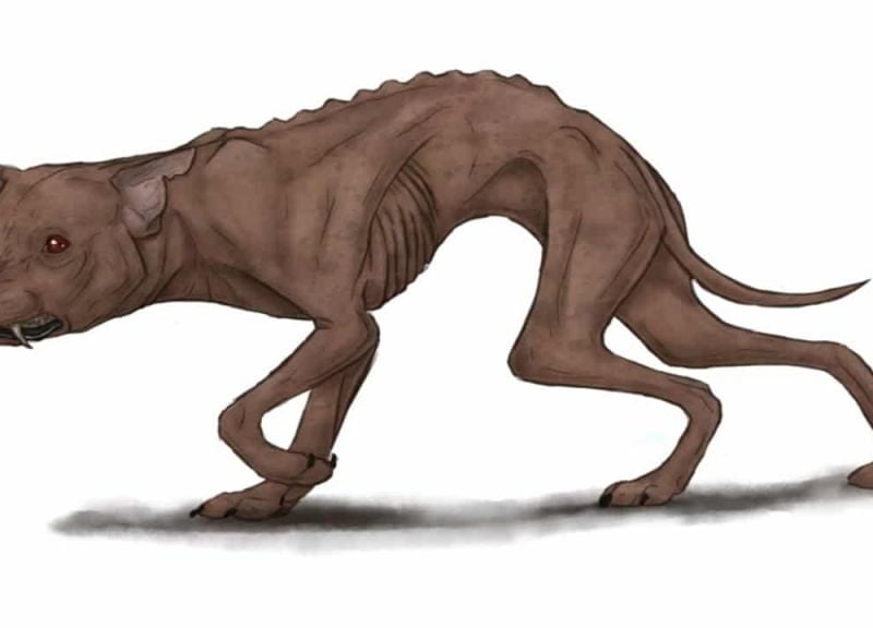 4b5e018b14712ff0b1a45b3097e4947e 1