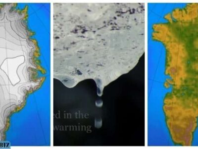 50bb48c26295c160eb16a9cb9b6b395a 1