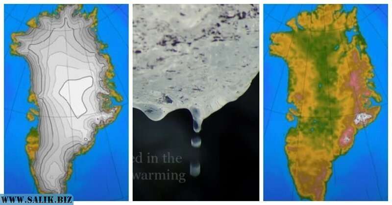         С моделью что-то не так: подо льдом Гренландии найдены древние растения				            