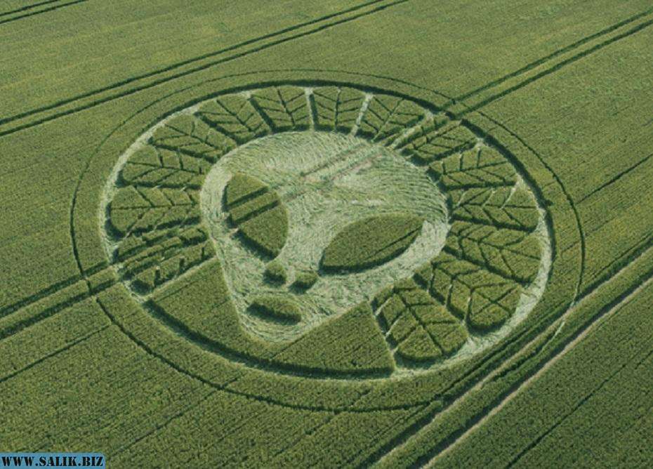 58cd54d9a455ca7eb14c7b22ade19643 1