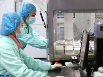 611aa4865278110a144b4fde1892e520 1