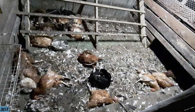 64682f180b5a36f79ed47cc581562eea 1