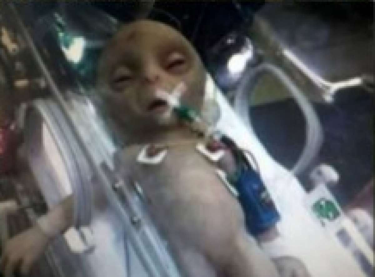 На Урале маленький пришелец пробрался в дом пенсионерки, фото 18 6471