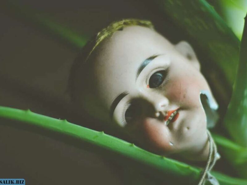 69a1a14bd584825553281a3ba189ab42 1