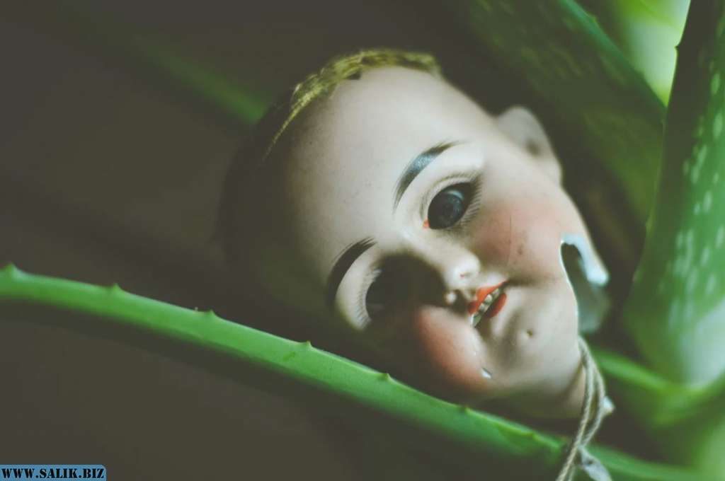 69a1a14bd584825553281a3ba189ab42 1