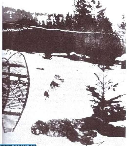 6cd3455aacc5285c4951b14fca006023 1