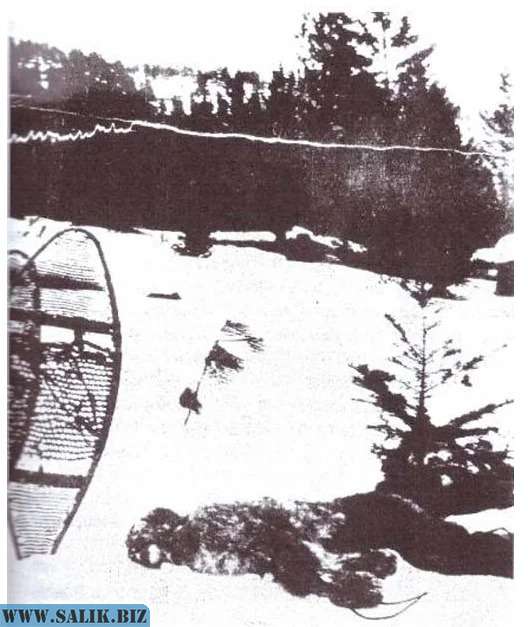 6cd3455aacc5285c4951b14fca006023 1