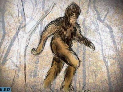 Снежные люди уже разгуливают по Вашингтону 24 71ecf2296f3e33660277b4d378baceec 1