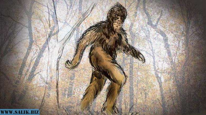 71ecf2296f3e33660277b4d378baceec 1