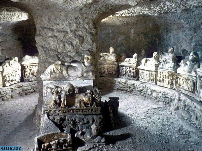 7c767bfc84855bf4a02fd070780e5790 1