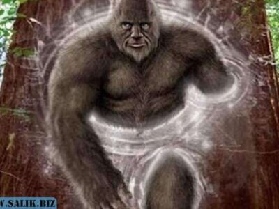 7d7ebdec96994dd45d534ee5c3f0b0b6 1