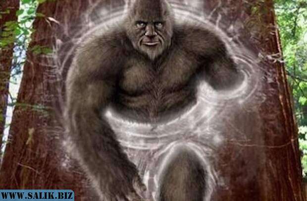 7d7ebdec96994dd45d534ee5c3f0b0b6 1