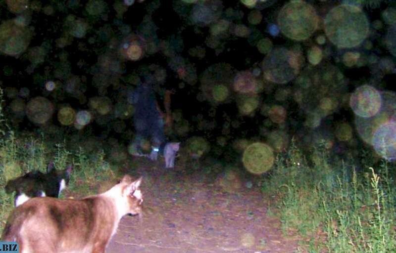 7d83b1a6c02239ea03c571e36f1719cc 1