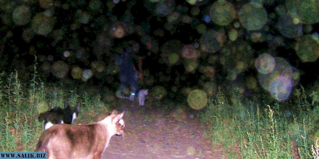 7d83b1a6c02239ea03c571e36f1719cc 1