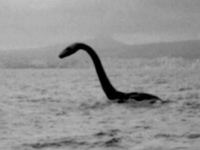 Лохнесское чудовище на Ладоге? 22 7df6d64971093227c3e349ac170180ac 1