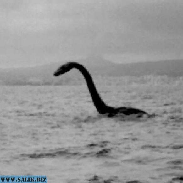 7df6d64971093227c3e349ac170180ac 1