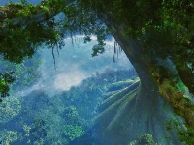 Когда деревья были большими? 24 85db26535c9b918579913aad239c82c5 1