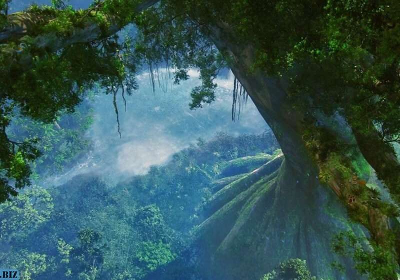 85db26535c9b918579913aad239c82c5 1