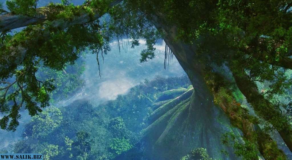 Когда деревья были большими? 18 85db26535c9b918579913aad239c82c5 1